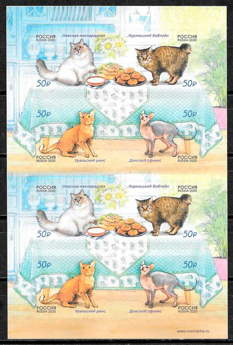 sellos gatos Rusia 2020