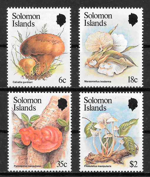 filatelia colección setas Salomon Islands 1984