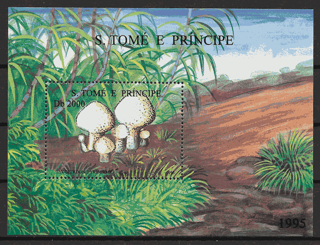 filatelia colección setas Santo Tomé y Principe 1995