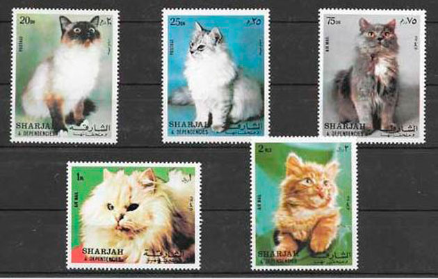 sellos gatos Sharjah