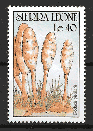 sellos setas Sierra Leona 1990