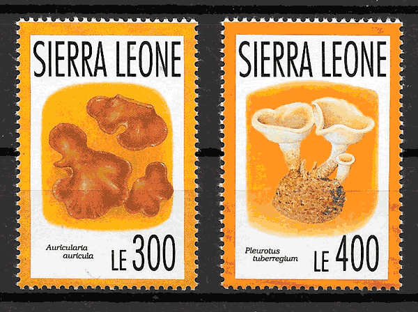 filatelia setas Sierra Leona 1993