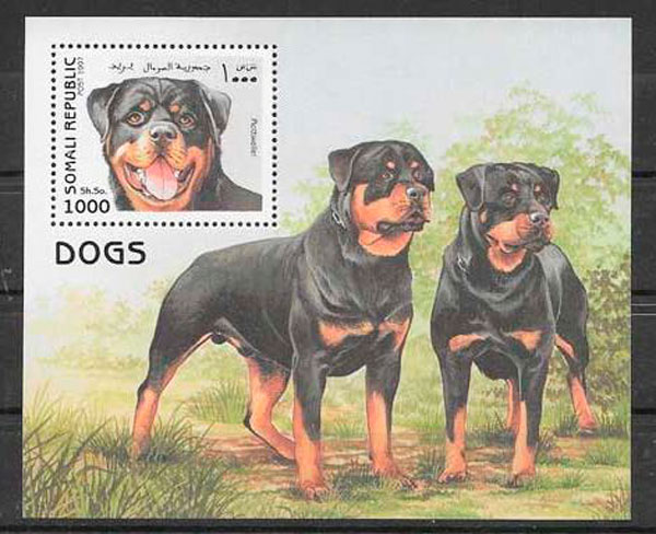 sello coleccion perros Somalia 1997