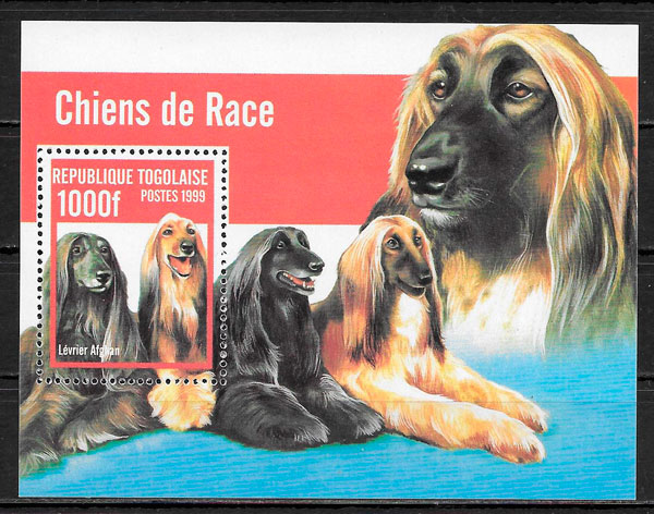 sellos perros Togo 1999