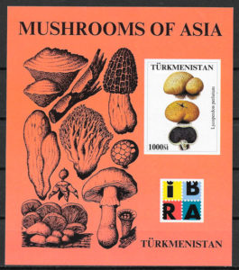 coleccion sellos setas Turmenistan