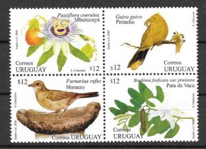 fauna y flora Uruguay - primavera