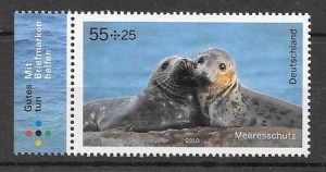 fauna protegida - la foca