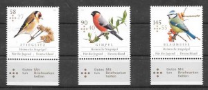 fauna - aves diversas 2013