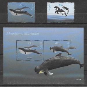 fauna marina cetáceos