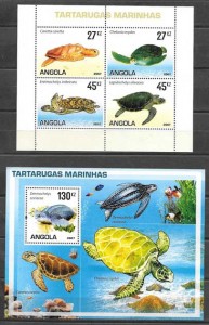 diversidad de tortugas marinas