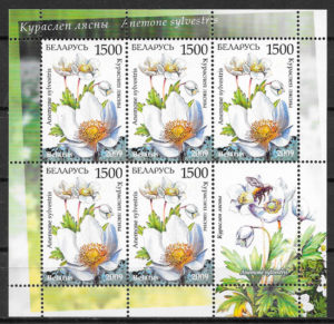 colección sellos flores Bielorrusia 2008