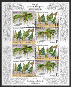 sellos flora Bielorrusia 2012