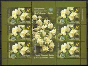 filatelia coleccion flora Bielorrusia 2015