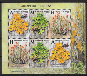 filatelia colección flora Bielorrusia 2019