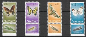 Israel mariposas 1965