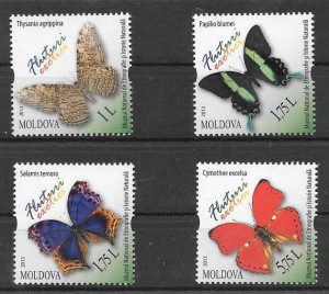 fauna mariposas 2013