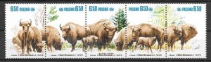 fauna protegida 1981
