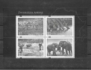 fauna de áfrica 2009