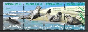 fauna marina Polonia 2009