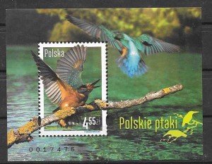 fauna - aves polacas 2013