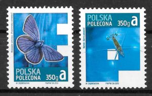 sellos fauna Polonia 2013