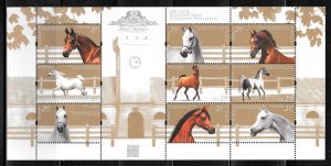 sellos fauna Polonia 2017