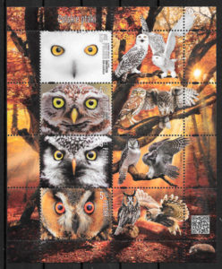 sellos fauna Polonia 2018