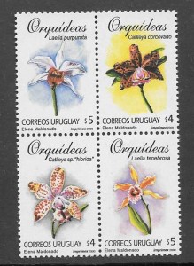 orquideas diversas Uruguay 2000