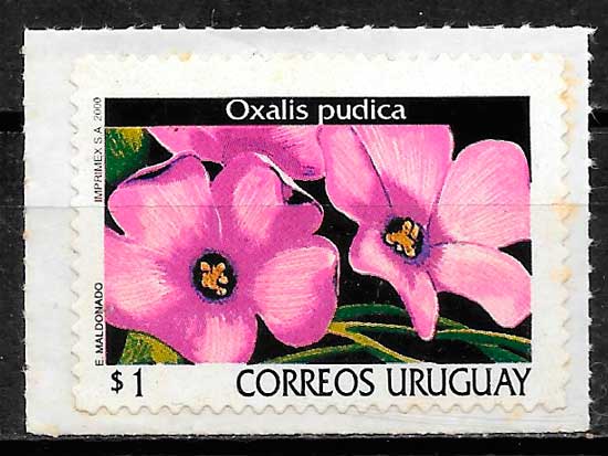 sellos flora Uruguay 2000
