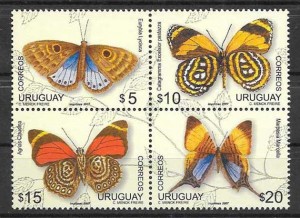 mariposas de Uruguay 2007