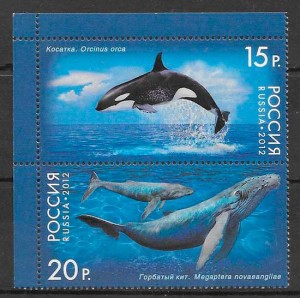sellos fauna Rusia 2012