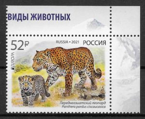 sellos fauna Rusia 2021