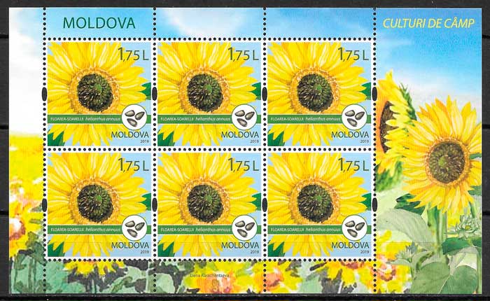 sellos frutas y verduras Moldavia 2019