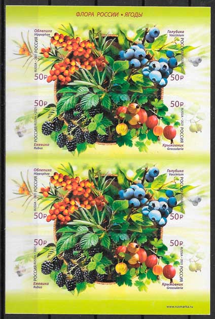 coleccion sellos frutas Rusia 2021