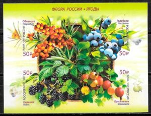 filatelia coleccion frutas Rusia 2021