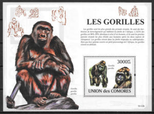 filatelia colección fauna Comores 2009