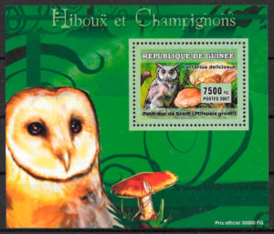 sellos fauna Guinea 2007