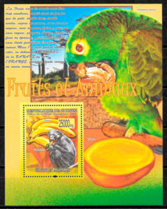 filatelia colección fauna Guinea 2008