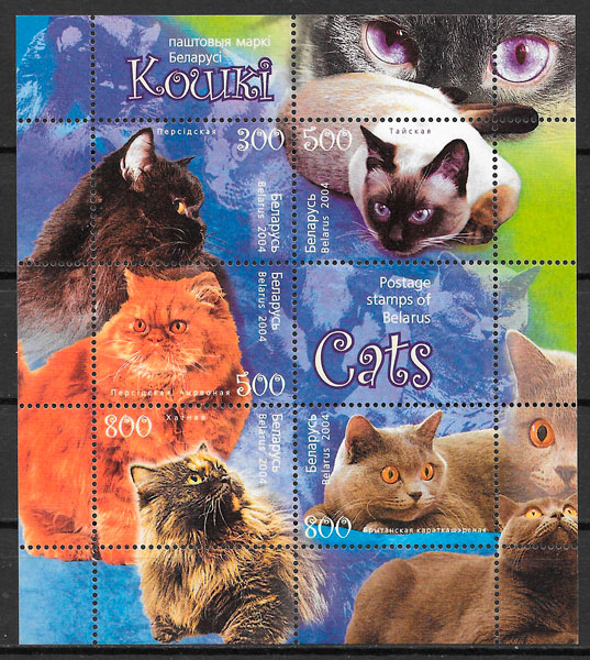 sellos gatos Bielorrusia 2003