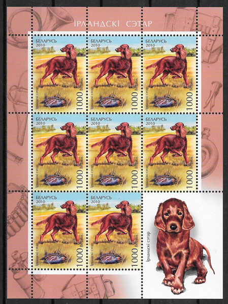 sellos perros Bielorrusia 2010