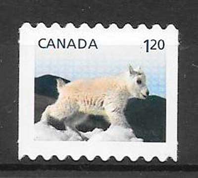 selos fauna Canada 2014.