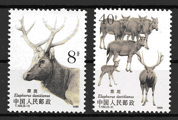 colección sellos fauna China 1988