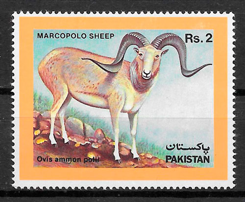a Pakistan 1986