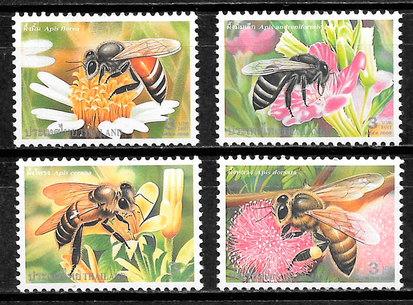 sellos fauna Tailandia 2000