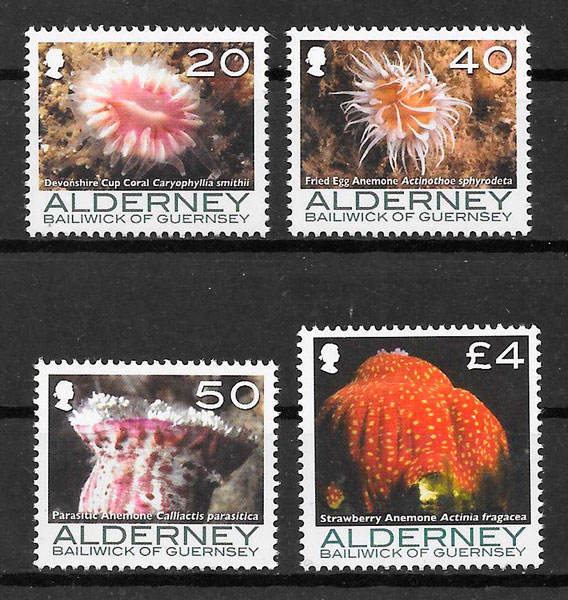 selos fauna Alderney 2007