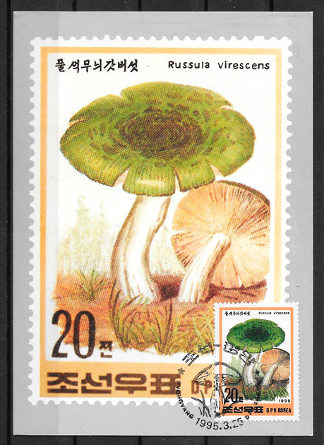filatelia colección sellos Corea del Norte 1995