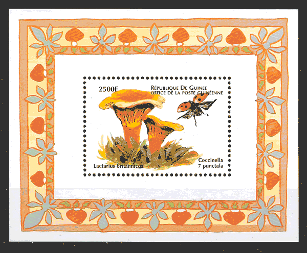 sellos setas Guinea 1999
