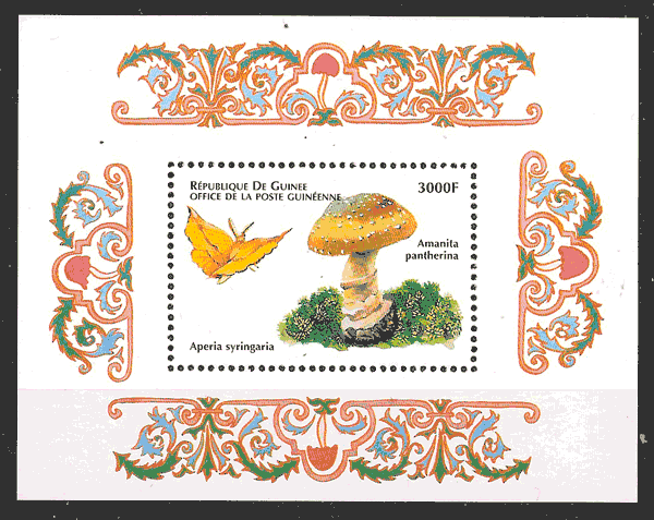 filatelia setas Guinea 1999