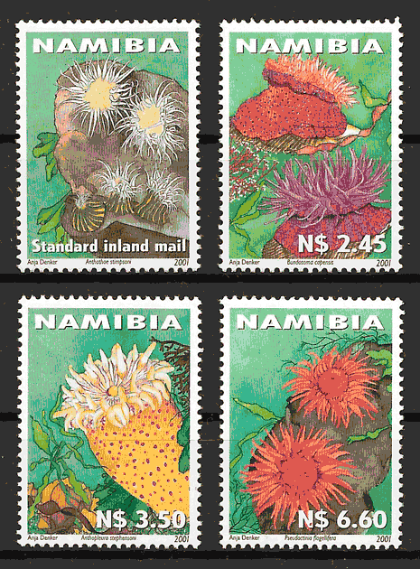 sellos fauna Namibia 2001