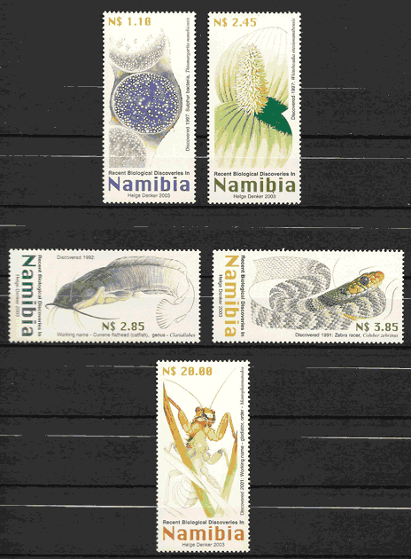 sellos fauna Namibia 2003